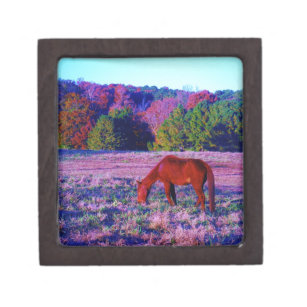 Brown horse in Purple Grass Jewelry Box