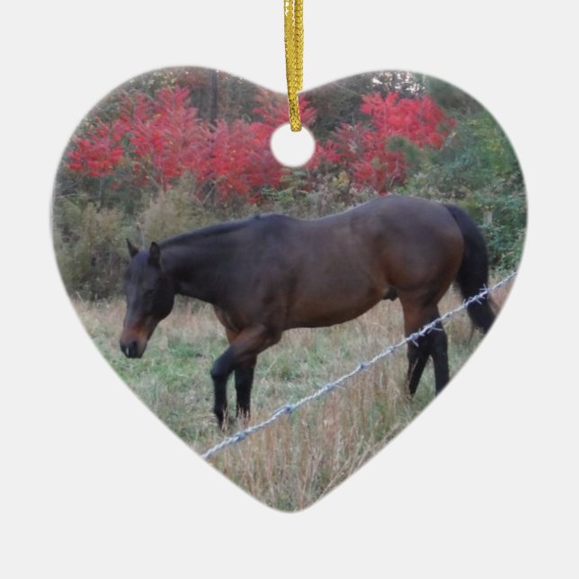 Brown horse in the red autumn trees ceramic ornament (Front)