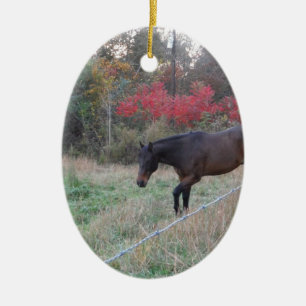Brown horse in the red autumn trees ceramic ornament