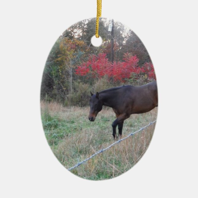 Brown horse in the red autumn trees ceramic ornament (Front)