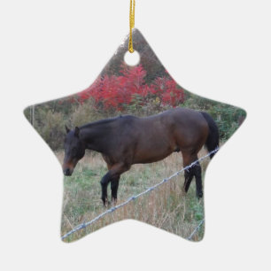 Brown horse in the red autumn trees ceramic ornament