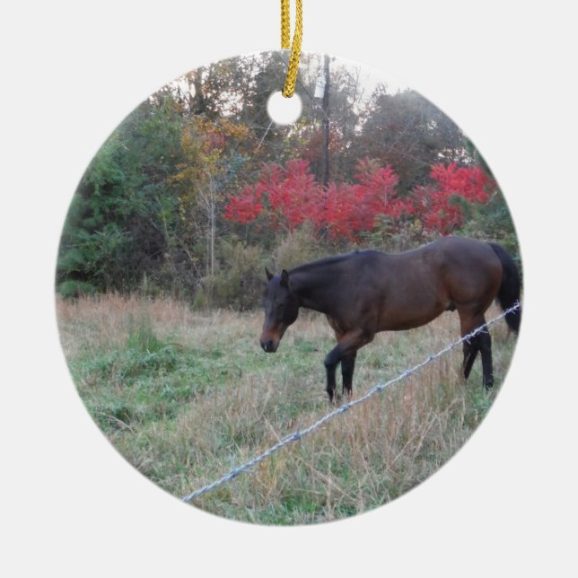 Brown horse in the red autumn trees ceramic ornament (Front)