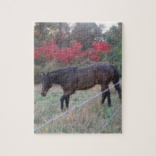 Brown horse in the red autumn trees jigsaw puzzle