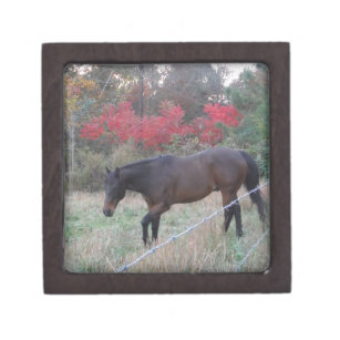 Brown horse in the red autumn trees keepsake box