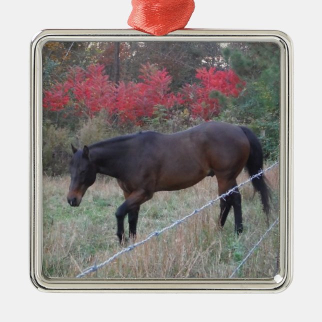 Brown horse in the red autumn trees metal ornament (Front)