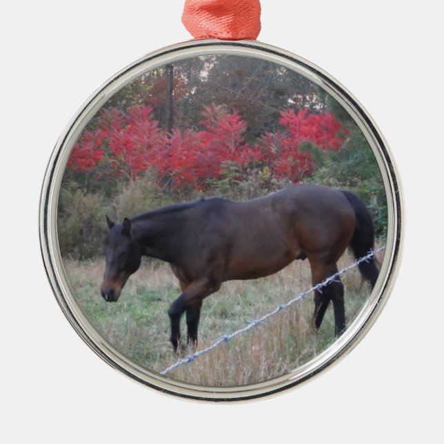 Brown horse in the red autumn trees metal ornament (Front)