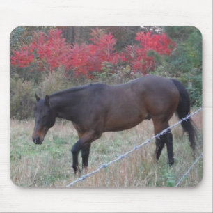 Brown horse in the red autumn trees mouse pad