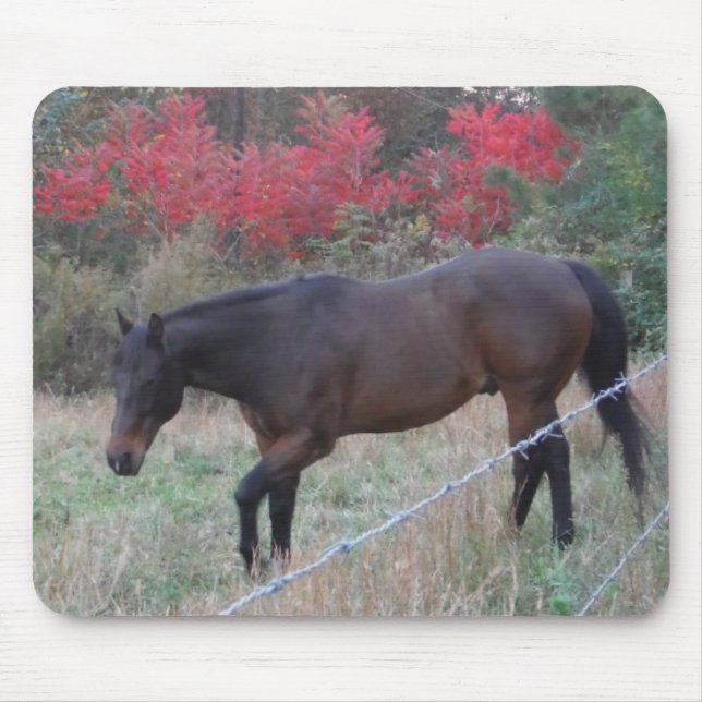 Brown horse in the red autumn trees mouse pad (Front)