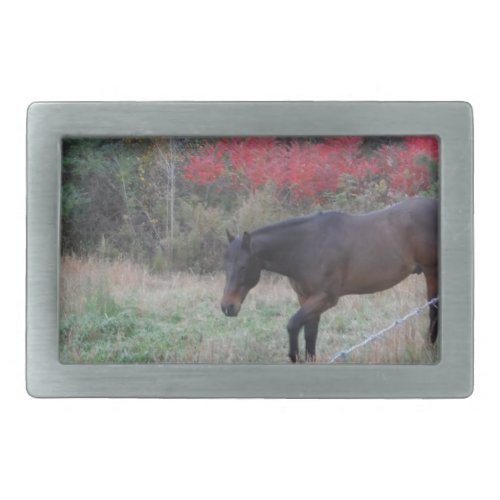 Brown horse in the red autumn trees rectangular belt buckle