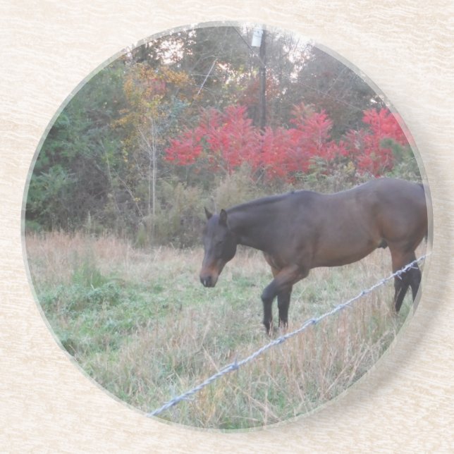 Brown horse in the red autumn trees sandstone coaster (Front)