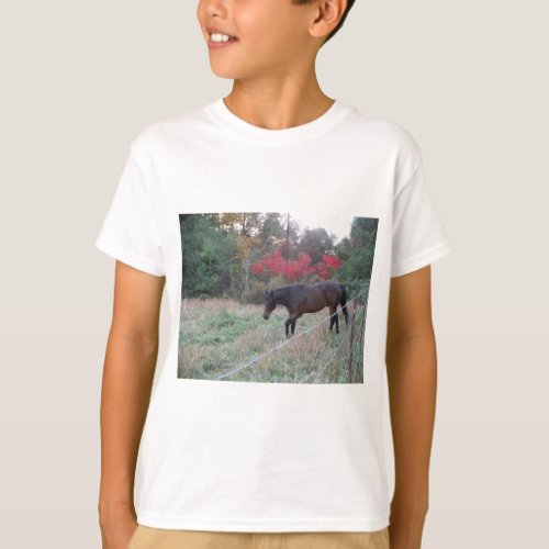 Brown horse in the red autumn trees T_Shirt