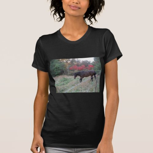 Brown horse in the red autumn trees T_Shirt