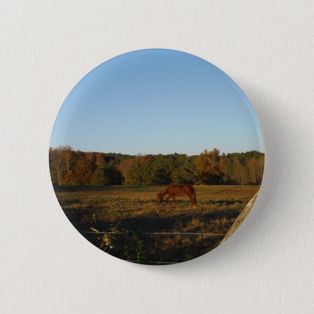 Brown horse in  the Sun Button (Front)
