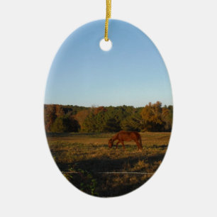 Brown horse in the Sun Ceramic Ornament