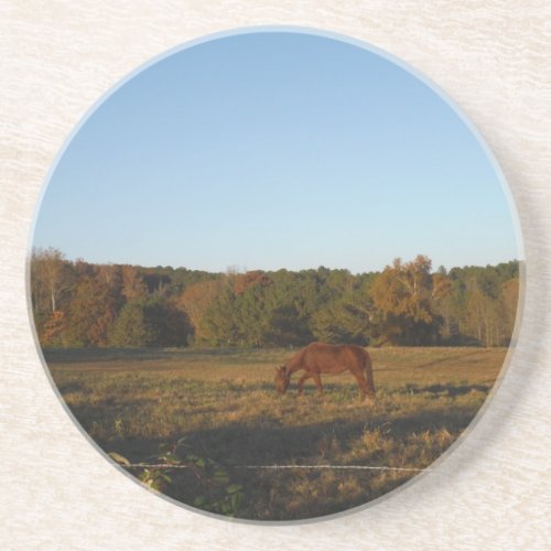 Brown horse in  the Sun Drink Coaster