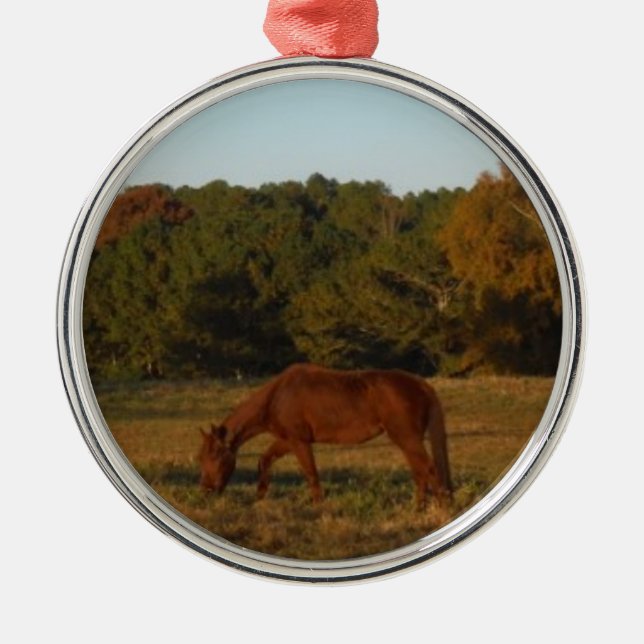 Brown horse in  the Sun Metal Ornament (Front)