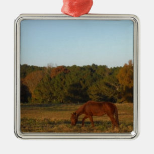 Brown horse in  the Sun Metal Ornament