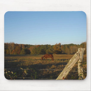 Brown horse in the Sun Mouse Pad