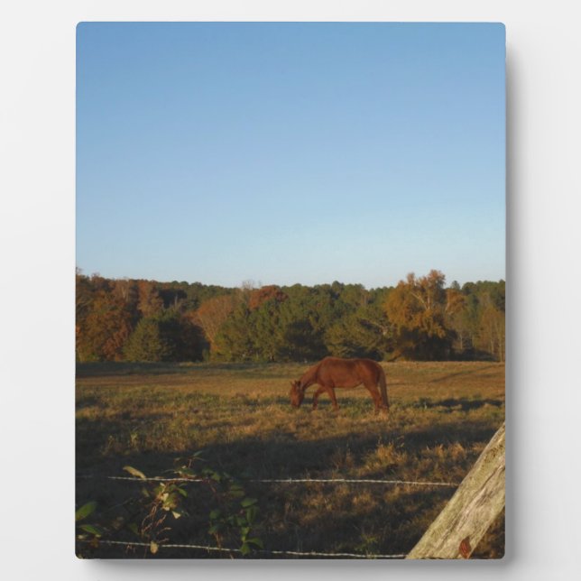 Brown horse in  the Sun Plaque (Front)