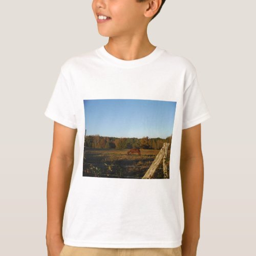 Brown horse in  the Sun T_Shirt