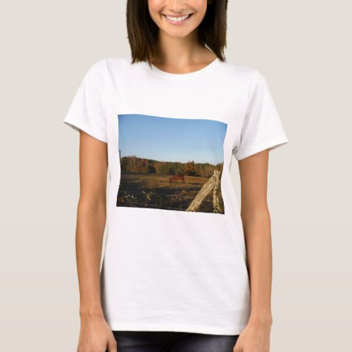 Brown horse in  the Sun T_Shirt