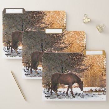 Brown Horse In Winter File Folder Set by Bebops at Zazzle