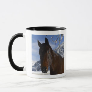 Brown horse in winter mug