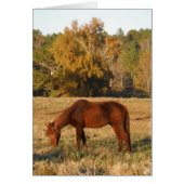 Brown horse in yellow tree field (Front)