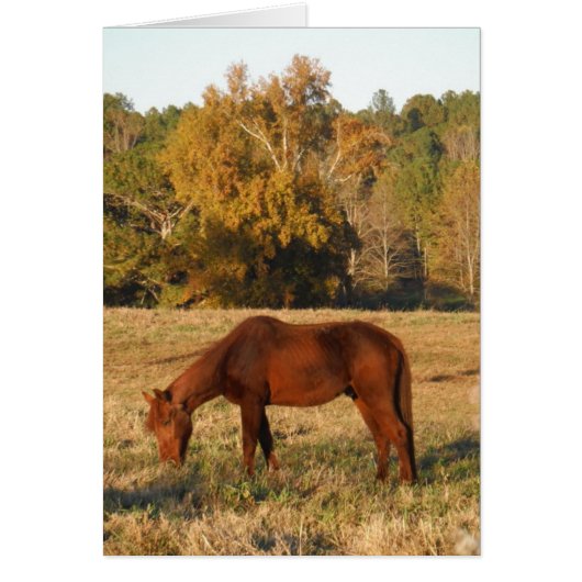 Brown horse in yellow tree field (Front)