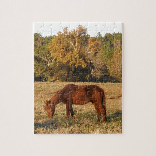 Brown horse in  yellow tree field jigsaw puzzle