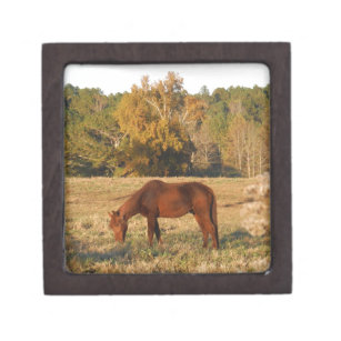 Brown horse in  yellow tree field keepsake box