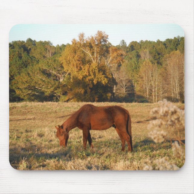 Brown horse in  yellow tree field mouse pad (Front)