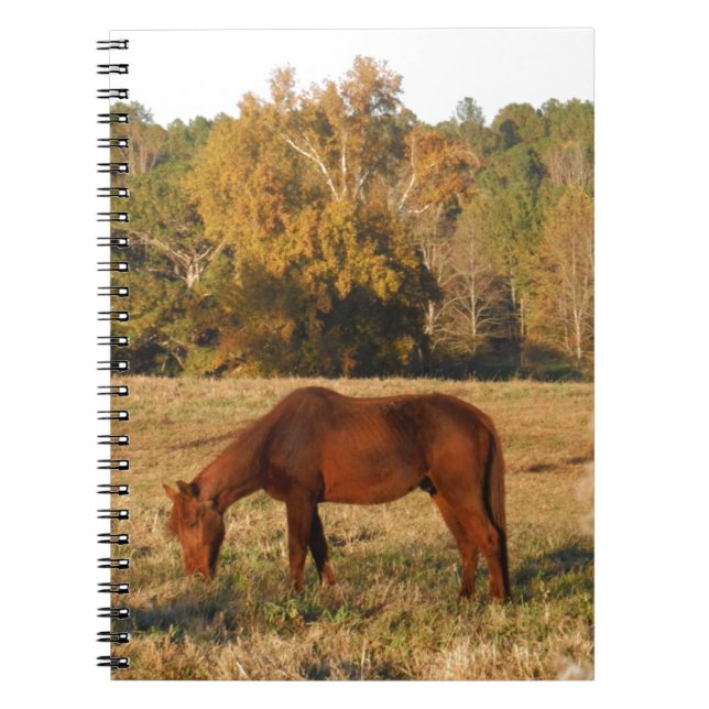 Brown horse in  yellow tree field notebook (Front)