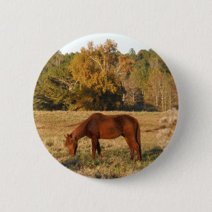 Brown horse in yellow tree field pinback button