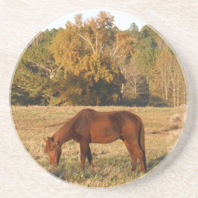 Brown horse in  yellow tree field sandstone coaster (Front)