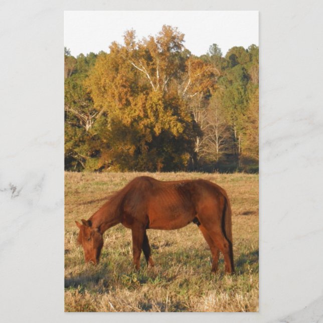 Brown horse in  yellow tree field stationery (Front)
