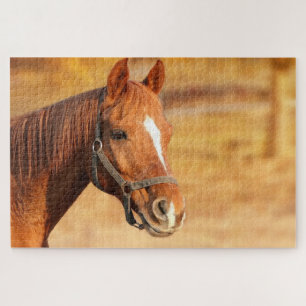 Brown horse jigsaw puzzle