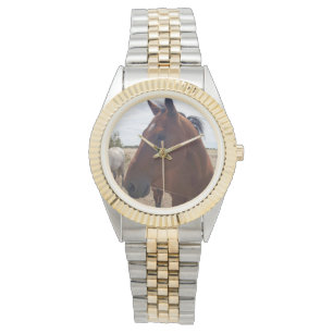 Brown Horse Magic, Watch
