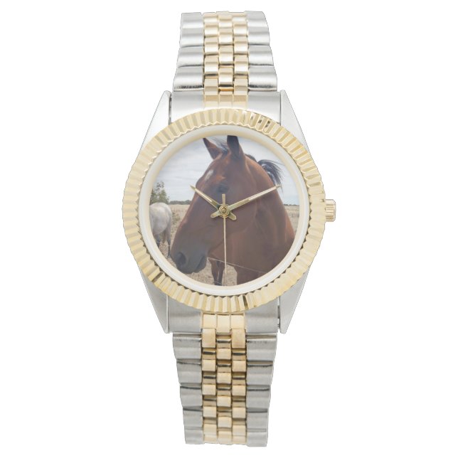 Brown Horse Magic, Watch (Front)
