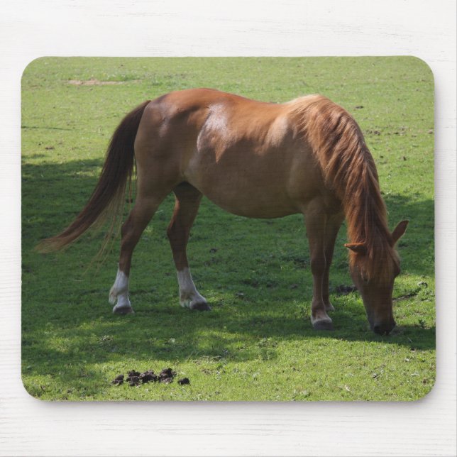 Brown horse mousepad (Front)