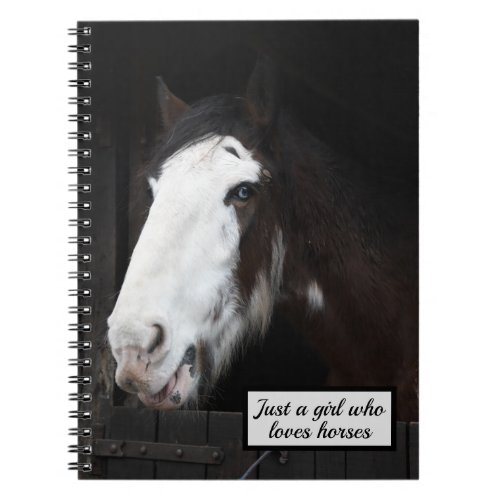 Brown Horse on Farm Just a Girl who Loves Horses Notebook