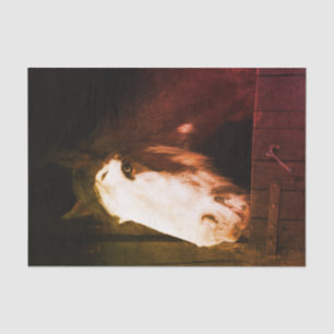 Brown Horse on Farm Just a Girl who Loves Horses Tissue Paper