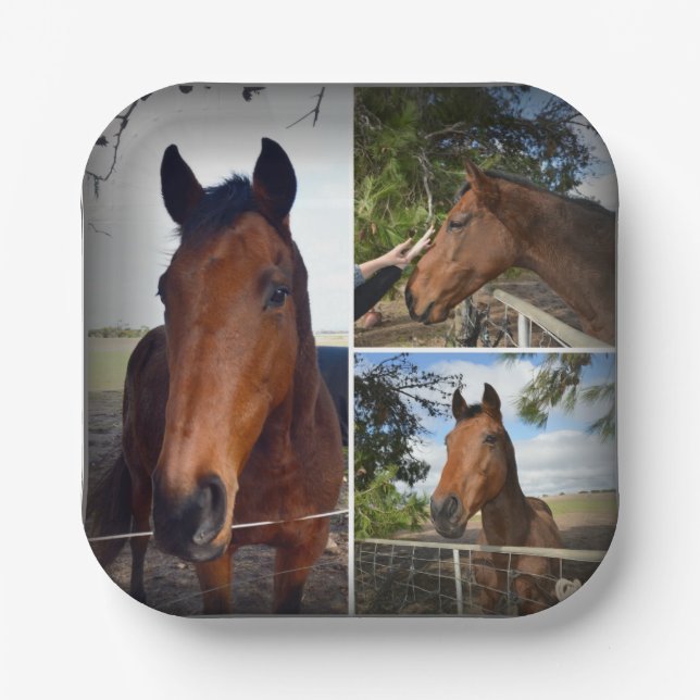 Brown Horse Photo Collage, Paper Plates (Front)