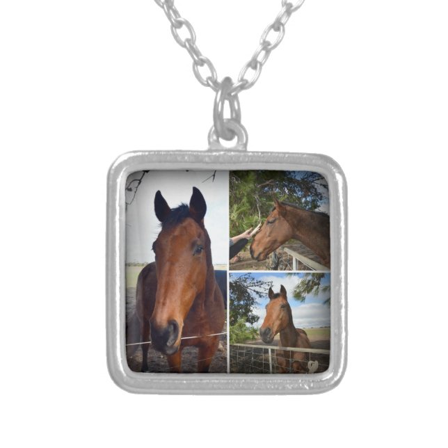 Brown Horse Photo Collage, Silver Plated Necklace  (Front)