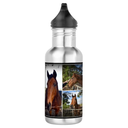 Brown Horse Photo Collage Water Bottle