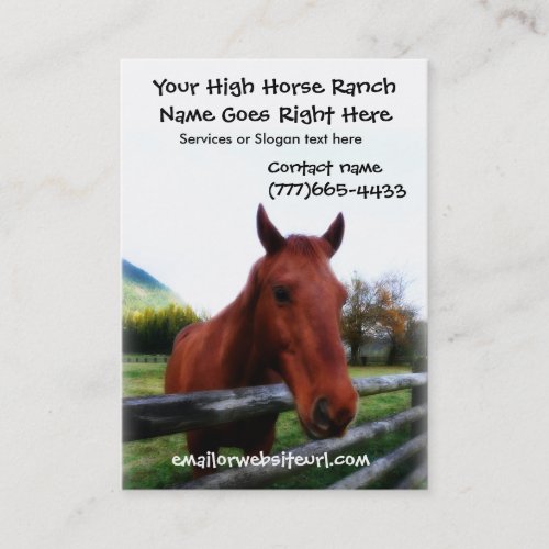 Brown Horse Photographic Portrait Business Card Template