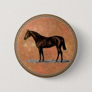 Brown Horse Pinback Button