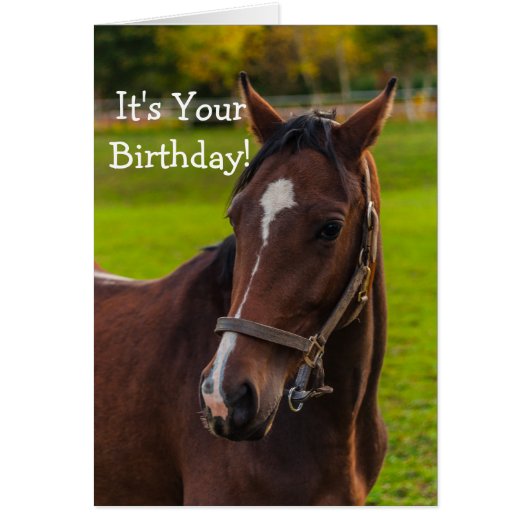 Brown Horse Portrait Cards (Front)