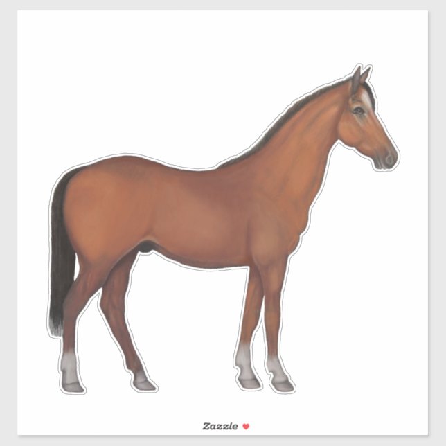 Brown Horse. Ready for show Sticker (Sheet)