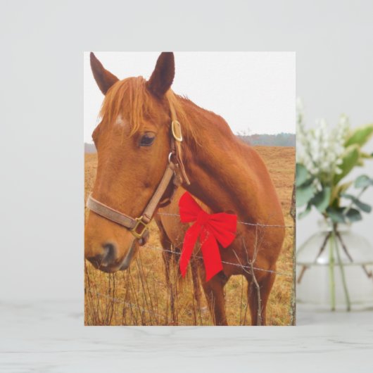 Brown Horse Red Bow (Standing Front)